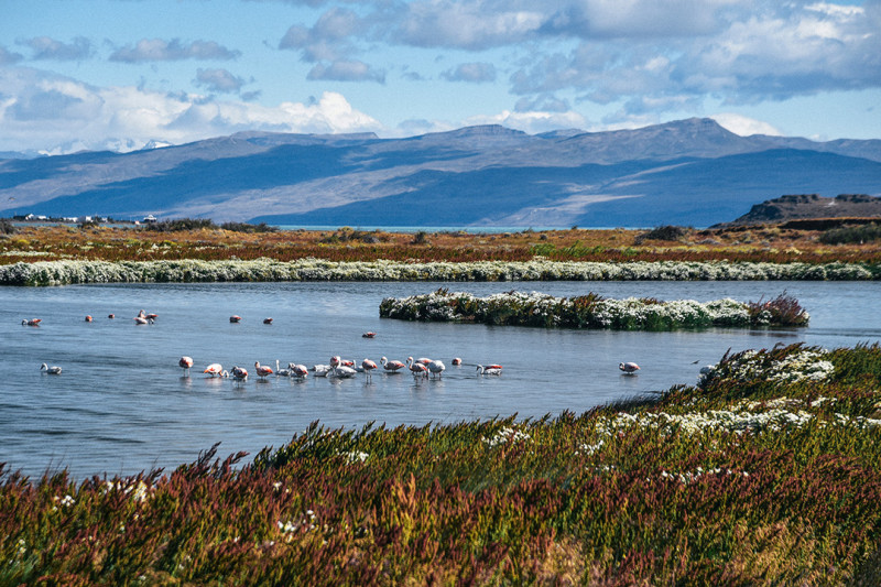 Laguna Nimez Reserve