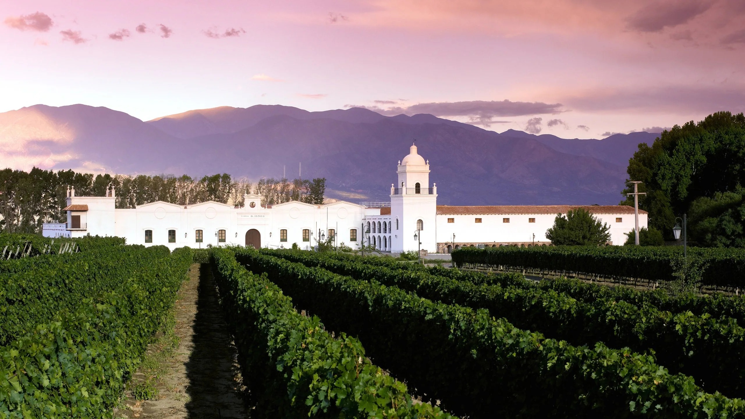 Cafayate Wineries